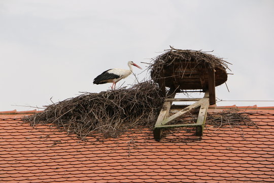 Storchennest und Storch auf einem Historischen Geb&auml;ude auf dem Affenberg in Salem am Bodensee