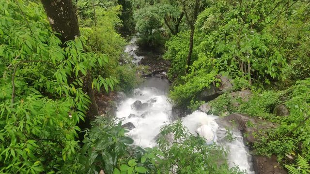 Areal downward shot of small waterfalls and thick green trees between dense green forest in Coorg, India.