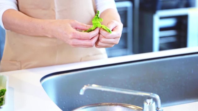 レタスをちぎる女性