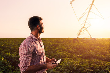 Young farmer holding tablet in his hands and adjusts irrigation system on soybean field at sunset.