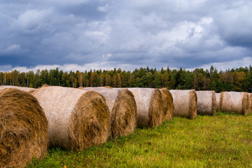Jesień w okolicach Supraśla, Podlasie, Polska © podlaski49