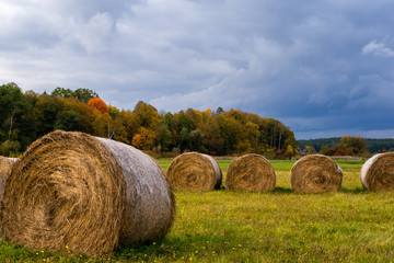 Jesień w okolicach Supraśla, Podlasie, Polska © podlaski49