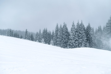 Obraz premium Winter mountains powder slope. Carpathians hill snow covered