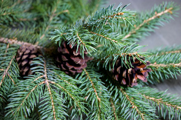 Branches of spruce and cones. So their fragrance is felt. Great backgrounds and textures for your holiday. Merry Christmas and Happy New Year. Happy 2020!