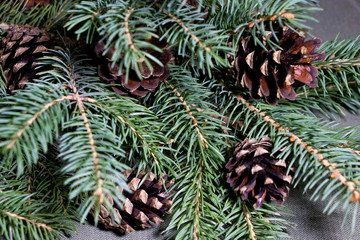 Branches of spruce and cones. So their fragrance is felt. Great backgrounds and textures for your holiday. Merry Christmas and Happy New Year. Happy 2020!