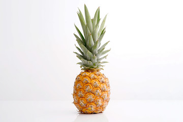 organic mini pineapple isolated on white background