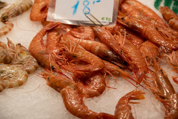 Frische Garnelen auf dem Markt in Barcelona