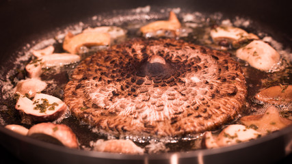 Tasty parasol mushroom and some boletus sizzling on frying pan