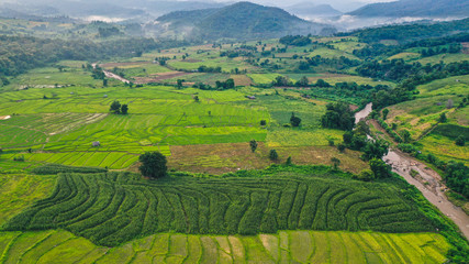Fototapeta premium Green rice fields from above in Pai