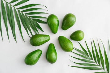 Fresh ripe avocados and palm leaves on white background