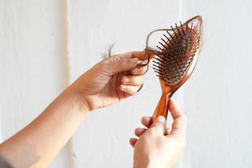 Women with long hair on the hair brush show hair loss problems.