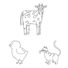 Isolated object of homemade and countryside icon. Set of homemade and agriculture stock symbol for web.