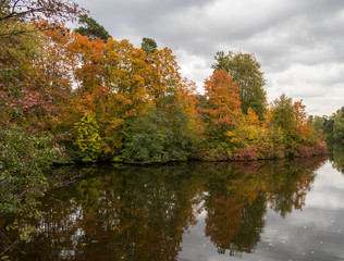 Autumn, Park, pond, trees.