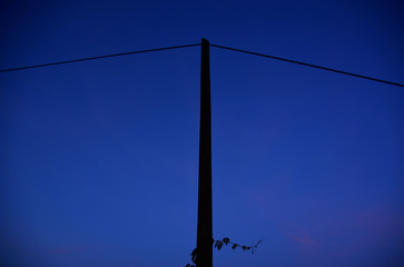 Old wooden electric post power pole with ivy growing up towards evening dark blue sky