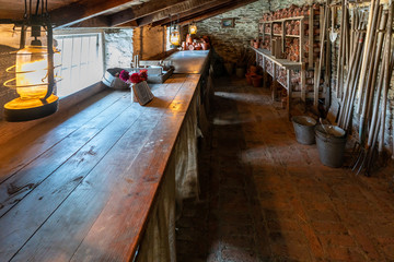 Looking into the potting shed