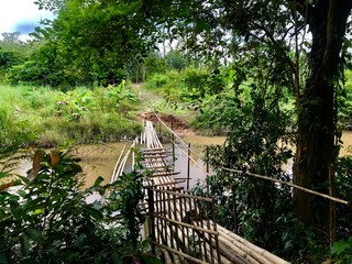 old wooden house in the forest