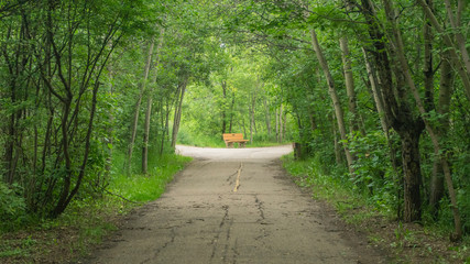 Mill Creek Ravine - Edmonton, Alberta, Canada - Cloudy day - Bike paths - Park © Emanante