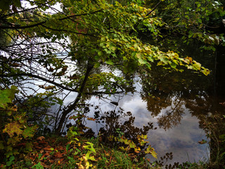 Autumn, riverbank.