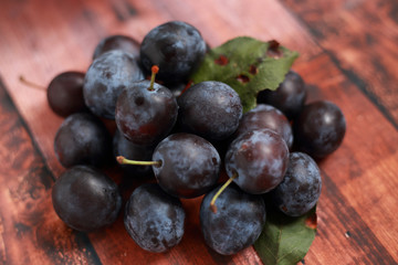 Fototapeta premium blue plums from his garden on a wooden table