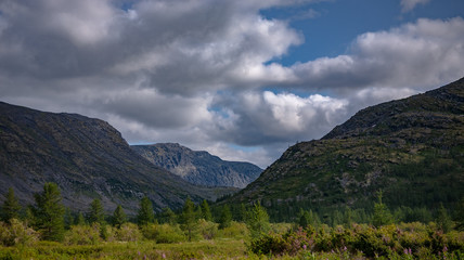 Fototapeta premium Polar Urals,Valley Of Lambeau.Yugyd VA national Park