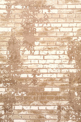 Fototapeta premium Soft carpet with brick wall pattern as background