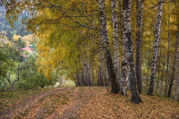 Obraz premium Allphotokz Kok Zhailau 20150927 5398 D810