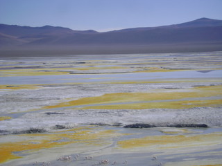 chile