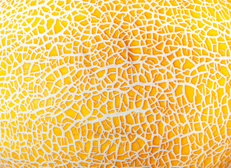 Melon skin yellow texture close up. Abstact background