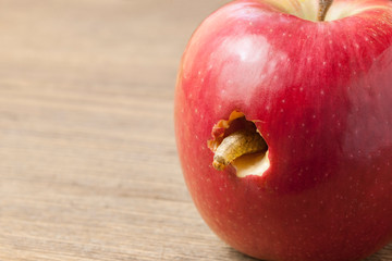 A caterpillar climbs out of a hole in a red apple