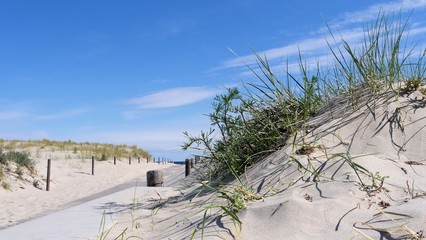Ostsee  Sand  Düne  Warnemünde 
