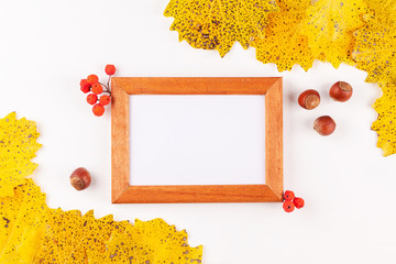 Top view of autumn style photo frame with copy space surrounded by yellow leaves, red rowan berries and whole hazelnuts. Fall season ecology concept on white background.