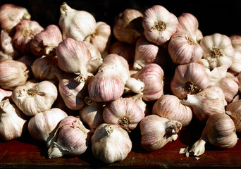 Fresh Garlic on display on wooden plank