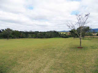 CAMPO DE GOLFE COM ARVORES