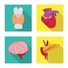 Isolated object of human and health icon. Collection of human and scientific vector icon for stock.
