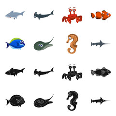 Isolated object of sea and animal icon. Collection of sea and marine stock symbol for web.