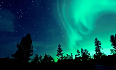 Deurstickers Koraalgroen Noorderlicht aurora borealis boven bomen