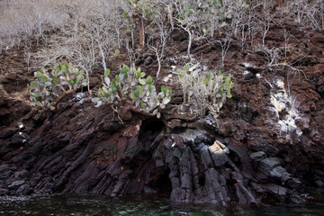 Galapagos Islands, Ecuador, America, UNESCO WORLD HERITAGE