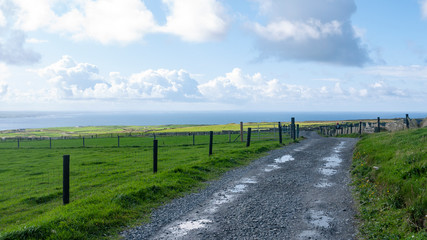 Fototapeta na wymiar Dirt road through agricultural grassy fields, taken in County Clare, Ireland showing the ocean in the background taken in summer.