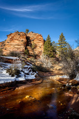 Pine creek in Zion national park