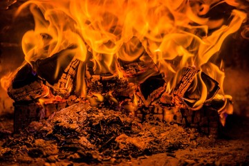A few birch logs burning in the fireplace 