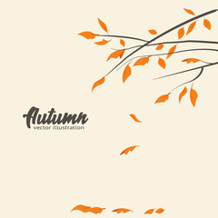 Autumn landscape, fall trees with yellow leaves, lonely bench for contemplation of autumn nature, vector, isolated, cartoon style