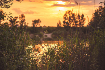 Sunset on the lake with mirror-smooth water. Lakeshore with orange sky and a collection of small insects. Autumn evening at the pond © JürgenBauerPictures