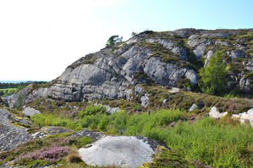 One Isolated Bench in the Wilderness of Norway
