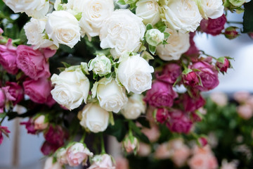 Obraz na płótnie Canvas pink and white roses