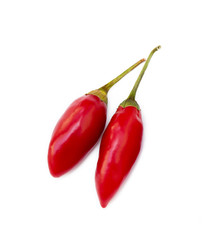 Red hot peppers isolated on white background