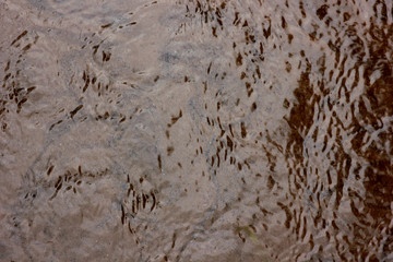 Obraz premium texture of flowing water with ripples on the surface