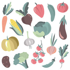 Vector collection of colorful fresh cartoon organic vegetables isolated on white background.