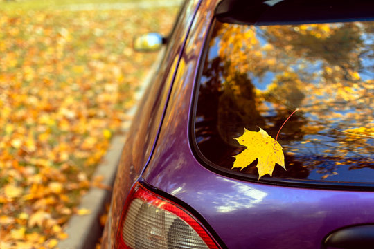 Lonely yellow maple leaf on the rear window of a car parked in a park. reflection of the crown of a tree. sunny autumn day. close-up