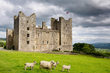 West side of 14th-century Bolton Castle with British flag with clouds and sheep in Wensleydale Yorkshire England