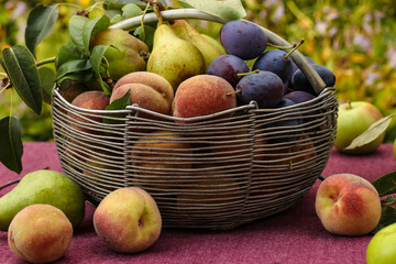 Basket of autumn fruits: apples, pears, plums and peaches on a table in the garden, Some of the fruit lies on the table, Horizontal orientation, Closeup